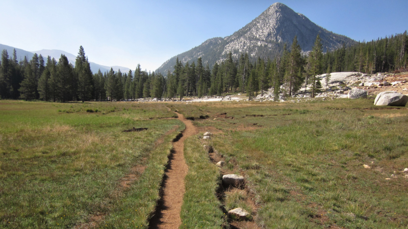Deep ruts developed alongside the Pacific Crest/John Muir Trail in Lyell Canyon, forged by hikers and stock animals stepping off the trail to avoid mud and water.
