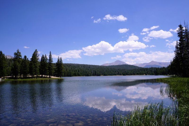 Dog Lake. Photo: Gabe Faraone.