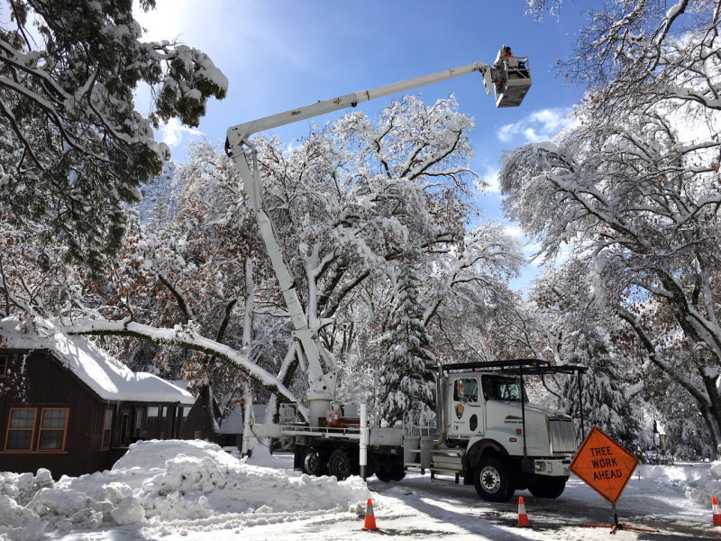 Park crews clean up fallen trees after strong winter storms moved through the Sierra. Photo: Courtesy of NPS.