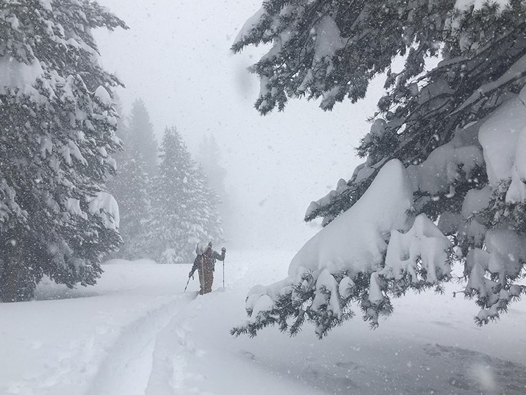 A skier moves through deep snow in Tuolumne Meadows in early February. Photo: NPS/Laura and Rob Pilewski