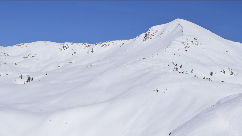 Science in action! Can you spot the skiers? In mid-March, a research crew spent several days skiing in the southern Yosemite Wilderness as part of a grant-supported effort to study the Sierra Nevada red fox. Photo: Ryan Kelly