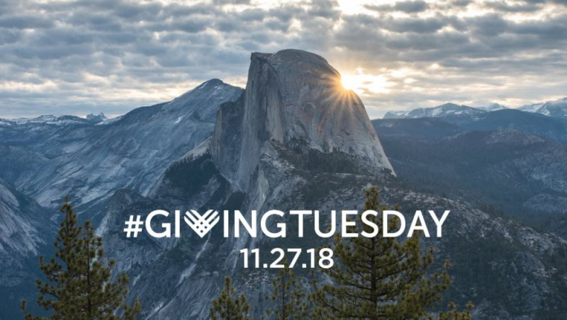 Giving Tuesday falls on the Tuesday after Thanksgiving every year. Thank you to all who supported Yosemite Conservancy on Giving Tuesday, or any other day of the year! Photo: Casey Horner/Unsplash