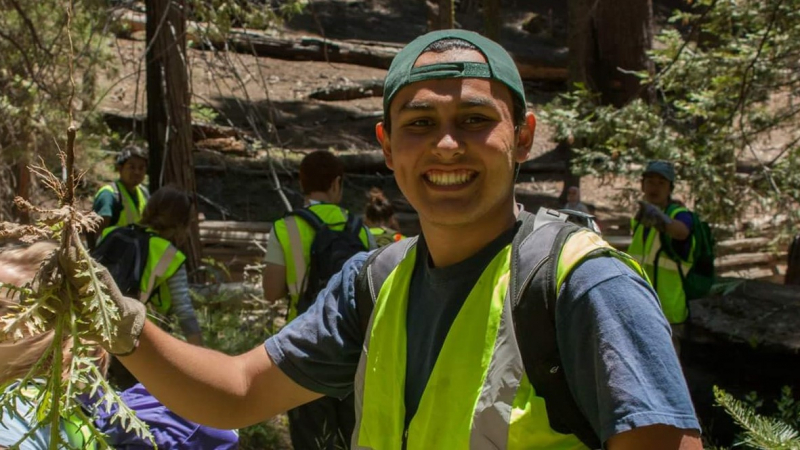 During his summer 2013 Yosemite Leadership Program internship, Ian Ojeda-Vasquez helped remove invasive plants in Mariposa Grove. Photo: NPS