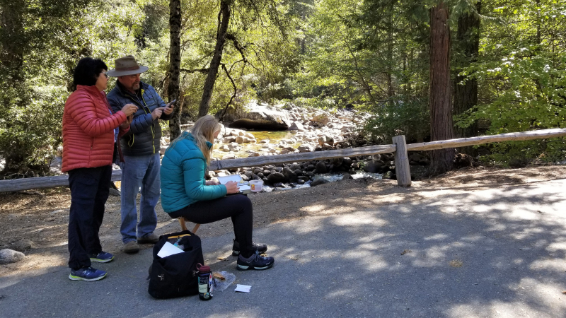 Artist Steve Curl shows a student how to use photos to help frame a scene before painting during a watercolor workshop at Happy Isles. Photo: Yosemite Conservancy/Keith Walklet