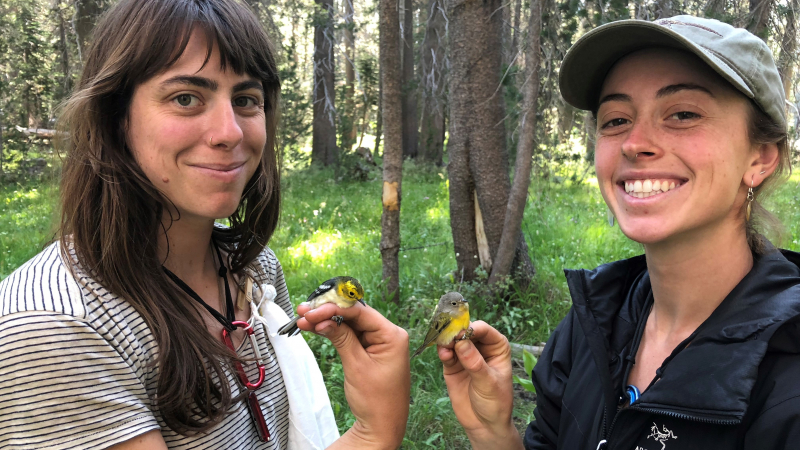 Two members of the 2018 songbird research team (field technician Krista Fanucchi and intern Sarah Hecocks) holding a hermit warbler and a Nashville warbler. Photo: NPS
