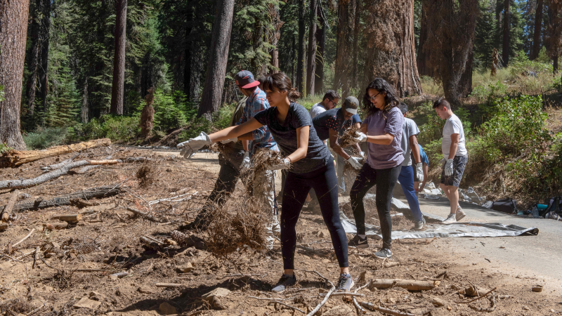 Yosemite Leadership Program students from the University of California, Merced, help restore habitat in Mariposa Grove. Photo: NPS