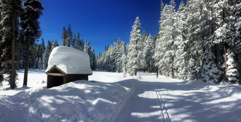 Skate skiing on Glacier Point Road, one of our team's top picks for enjoying winter in Yosemite. Photo: Ryan Kelly.