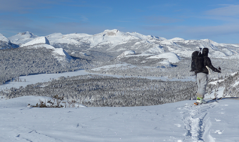 A skier in Tuolumne Meadows, where more than 200 inches of snow fell in January. Photo: Courtesy of NPS.