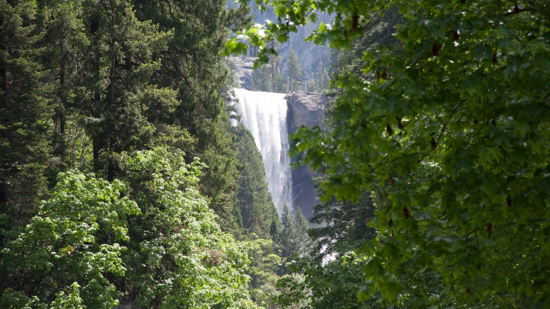 In spring, the Vernal Fall footbridge offers a leaf-framed view of its namesake waterfall. Photo: Michael White.