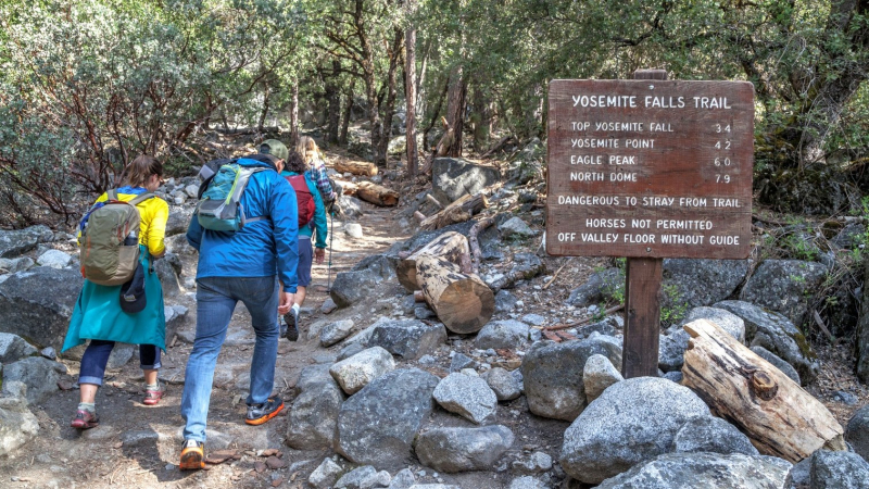 Hikers start up the Yosemite Falls Trail, which leads to the top of Upper Yosemite Fall, 2,425 feet above the Valley floor. Photo: Yosemite Conservancy/Keith Walklet.