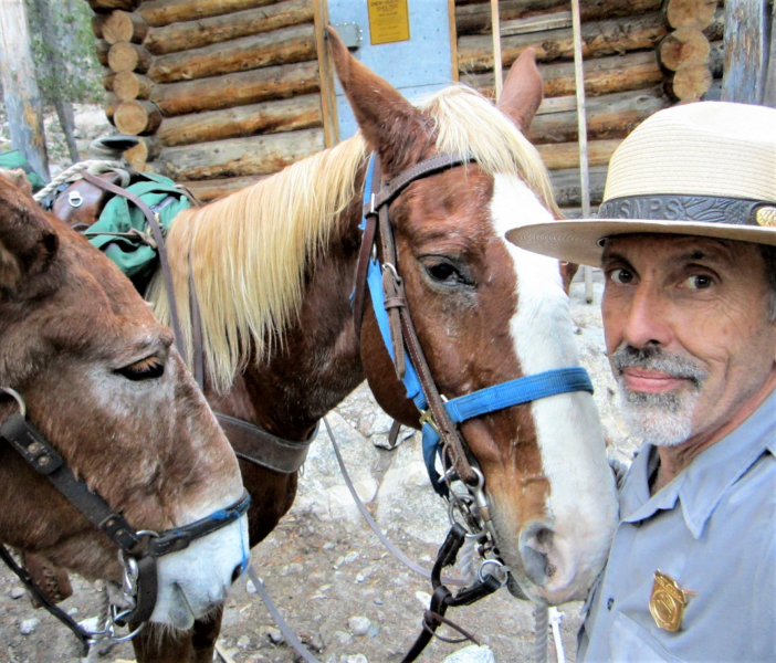 Mark, pictured here with members of Yosemite's stock team, got to work with and learn from countless people — and equine ambassadors! — during his four-decade National Park Service career. 