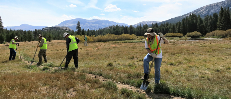 As part of his role, Mark oversees Yosemite Conservancy's work week volunteer program, which gives park-lovers the chance to give back through trail and habitat restoration projects. Photo: Russ Morimoto