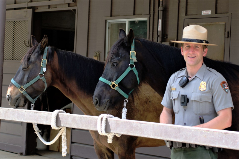 Ranger Justin Fey works closely with Drifter and Sandman, the two mustangs that the park adopted in 2018. Photo: NPS