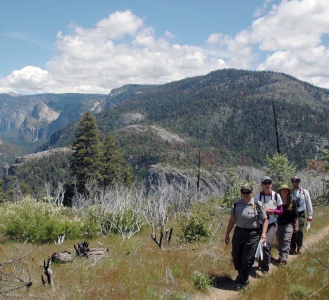 A BloomBlitz crew surveys for plants along a trail in western Yosemite.