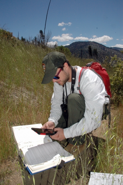 An NPS staff member identifying specimens and recording them with the iNaturalist app.