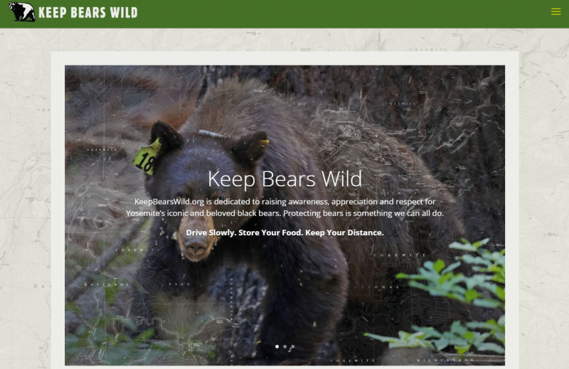 The new Keep Bears Wild website was developed with support from Yosemite Conservancy donors.