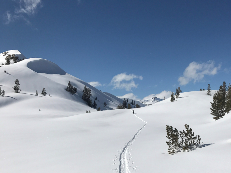 Skiing on a blank canvas of backcountry snow can be an enchanting experience — and not one to take lightly! Avalanche expertise, physical fitness and winter survival skills all come into play in Yosemite's winter wilderness. Photo: Ryan Kelly