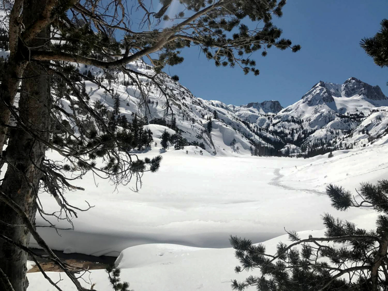 With a mile to go before returning to Twin Lakes, Ryan stopped for one last look at Crown Peak. Work accomplished, he and the crew skied back to solid ground, leaving behind the remote saddles and forests that provide crucial habitat for the Sierra Nevada red fox. Behind them, ski tracks in the snowfields served as a subtle, fleeting reminder of another step in efforts to deepen scientific understanding of one of North America’s rarest mammals. 