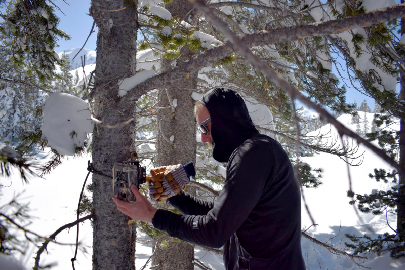 In this shot from <strong>day six</strong>, Mike positions a new camera. Each device had to be aimed north – otherwise, the path of the sun might trigger the motion-activated camera and drain the batteries. 