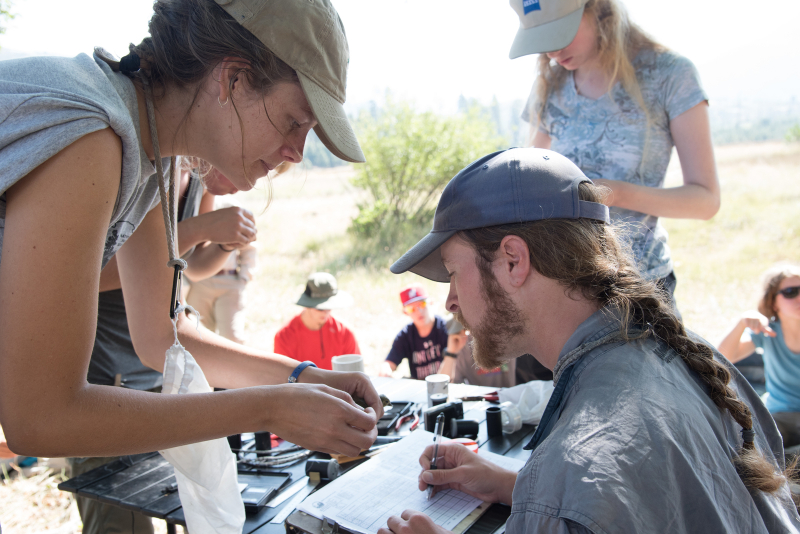 Songbird team of staff and interns record data; in background, educating group about research. Photo: Laurel Houston