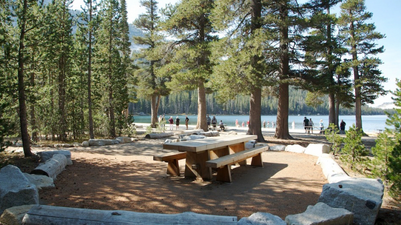 Lunch with a view, anyone? The picnic area at the east end of Tenaya Lake, one outcome of a donor-funded restoration project, invites people to soak up high country scenery as they relax and refuel. Photo: Yosemite Conservancy/Josh Helling