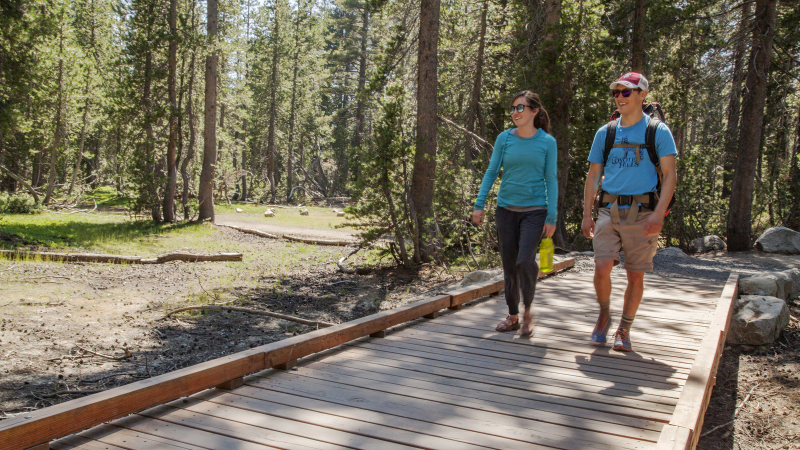 The raised boardwalk at Tenaya Lake's north end was built as part of an effort to restore habitat and improve visitor access to the area. Photo: Yosemite Conservancy/Keith Walklet