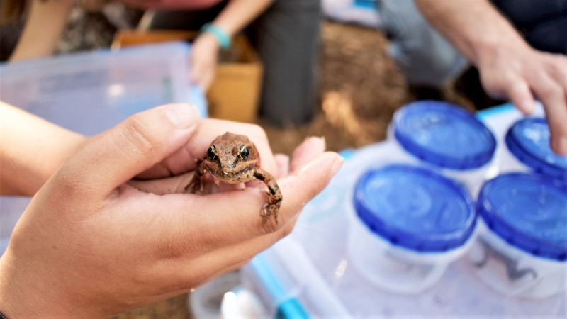 Photo: © Yosemite Conservancy/Ryan Kelly