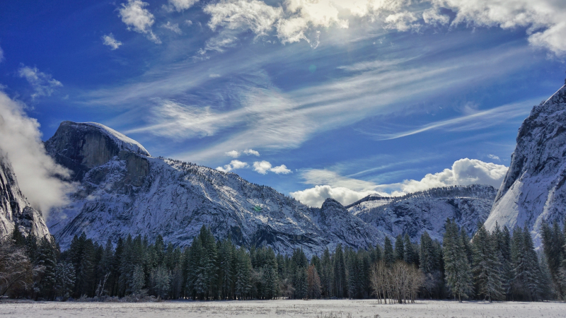 Blue skies and snowy meadows: perfect conditions for a recent day of tracking wildlife in Yosemite Valley.