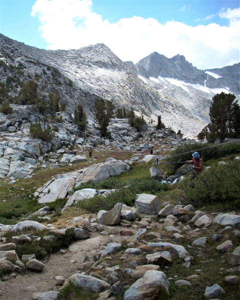 Using a highline to gather rocks for trail restoration near Donohue Pass. Photo: NPS, 2012