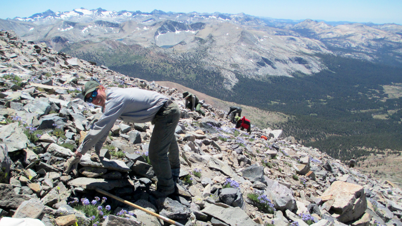 Crew members restore natural topography on the slopes of Mt. Dana. Photo: NPS, 2013