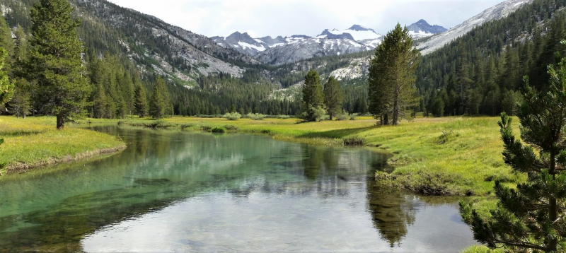 The Tuolumne River winds through Lyell Canyon, a haven for diverse animals. Photo: NPS