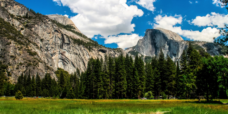 Yosemite Valley's meadows support a wide variety of wildlife species. Photo: Pixabay