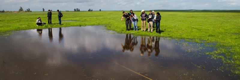 WildLink participants learned about phenology (the study of seasonal biological events) during an ambassador project at UC Merced's natural reserve.