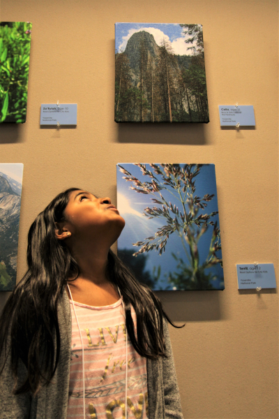 A Parks in Focus participant looks up one of her Yosemite photos during the program during a special exhibit at the Palo Alto Art Center. Photo: Courtesy of the Udall Foundation