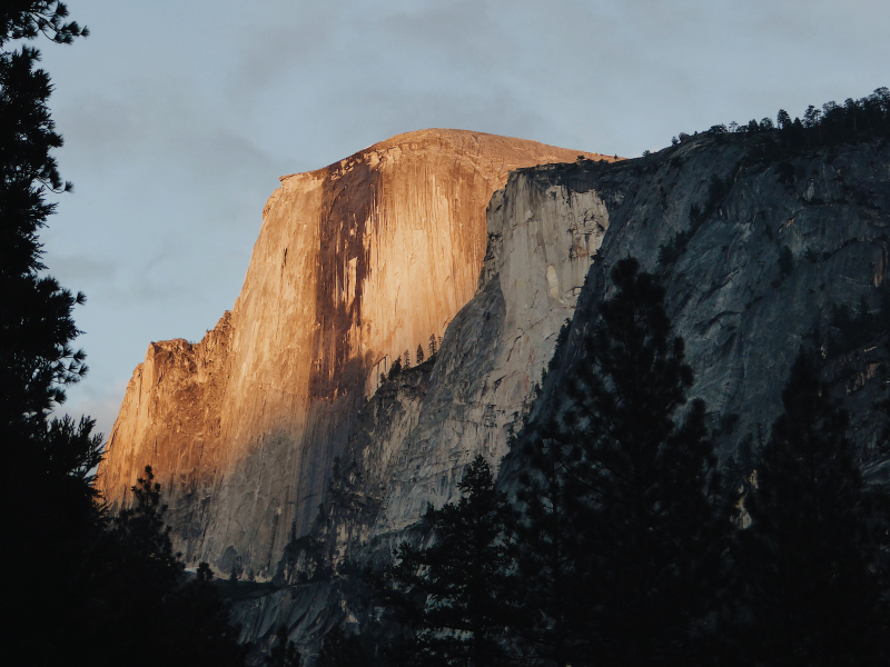 First ever night in Yosemite this past spring. My best friend and I had just finished setting up our tent. As she was rummaging for extra wood and brush for our fire, I looked up and saw this magnificent view. I wandered, camera in hand, until I found the perfect clearing to capture this moment. 