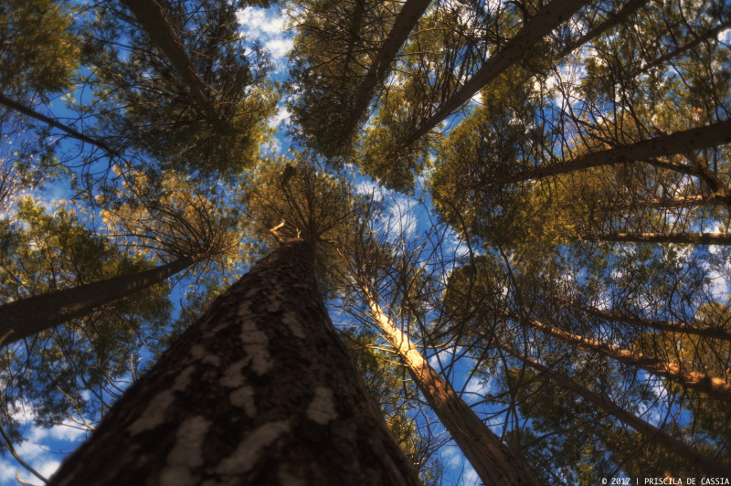 Yosemite reminds us how tiny we are...and how magnificent nature is! 