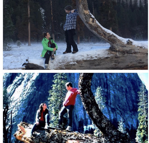 The photo on the bottom was taken 7 years ago when my then best friend and I were falling in love. We found this tree in the middle of the Valley floor and took a photo. The top photo is the same tree, just fallen down a bit more, 1 year ago. We visit Yosemite often and always find 