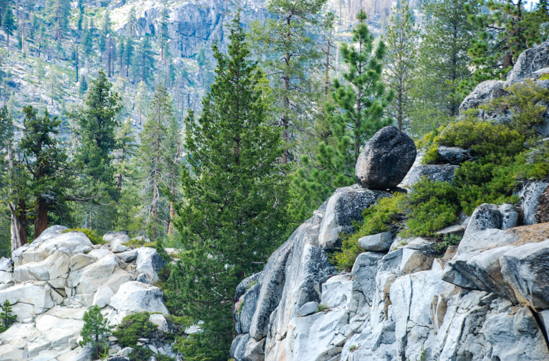 I have been coming to Yosemite since I was a child, and through those years I have taken such joy in all its wonders and provoking grandeur. The memories of my time spent there are forever etched on my heart and ingrained in my mind. I like this photo, in all its simplicity, because I remember chuckling to my self at the time, and thinking 