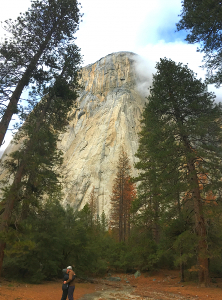 The love of my life proposed to me on the climbers' trail to The Nose (on El Capitan) in February, and I obviously said YES!