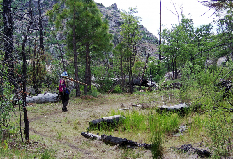 From basecamps, the CCC crews hike to their work sites each day, carrying shovels, rakes and other tools to clear, repair and build sections of trail. Photo: Courtesy of NPS