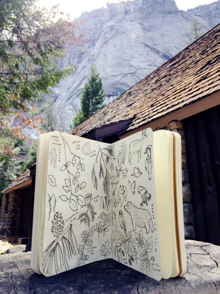 The landscape around Happy Isles lends itself to nature journaling. Photo (and illustrations): Sue Ghahremani