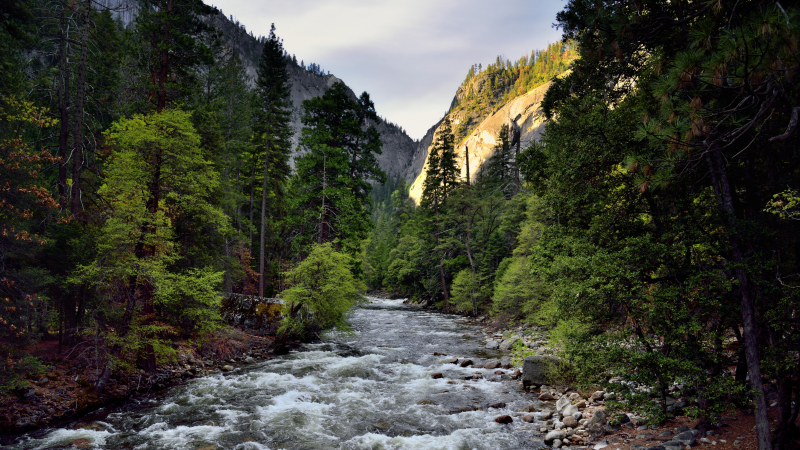 The view from Happy Isles Bridge. Photo: Mark Stevens