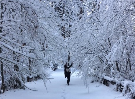 Our art program team frolicked in fresh snow as they headed to Happy Isles. Photo: Yosemite Conservancy/Lora Spielman