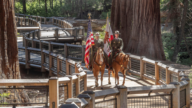 Yosemite National Park, Yosemite Conservancy and public officials celebrated the restoration of Mariposa Grove during a dedication ceremony on June 14, 2018. Photo: Yosemite Conservancy/Al Golub 