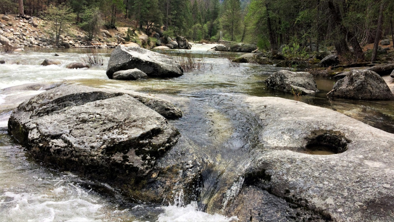 The South Fork Merced River flowing near Wawona in May 2018. Photo: Carolyn Botell