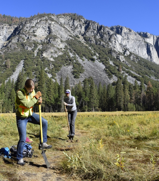 Removing social trails in the Valley during Facelift. Photo: Ryan Kelly